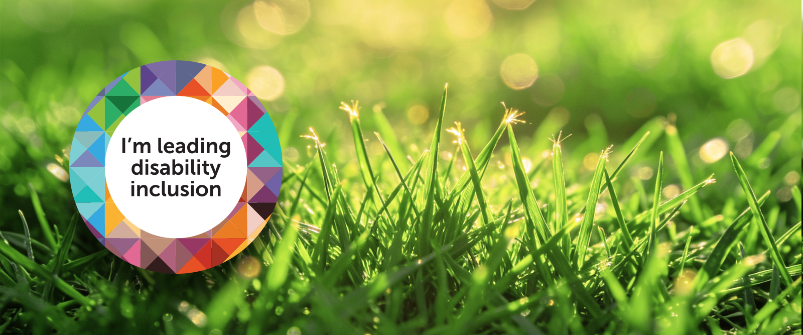 Disability inclusion banner